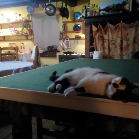 בית אירוח La Maison Du Bonheur Chez Yann Humblet