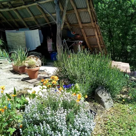 منزل للإقامة La Maison Du Bonheur Chez Yann Humblet