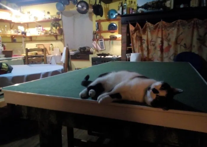 Privat bolig La Maison Du Bonheur Chez Yann Humblet